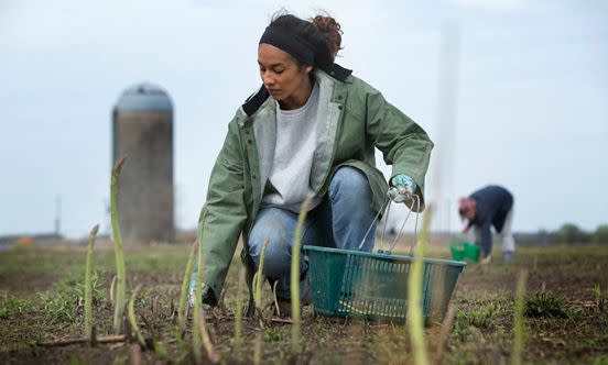 Anna Marie Picking Asparagus at Pendleton's Country Market - Lawrence, KS