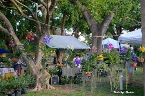 Orchid & Garden Festival
