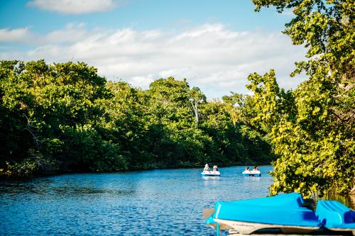 People riding pedal boats on the water at Hugh Taylor Birch State Park