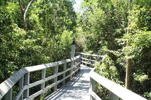 The 247.1-acre urban wilderness of Fern Forest Nature Center contains 30 species of fern. Find a serene setting for a family gathering or special event.