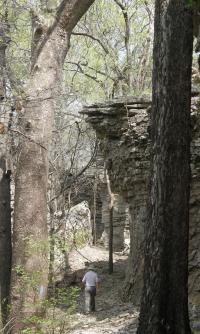 Kansas Trails