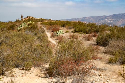 Limestone Ridge Trail in Limestone Canyon on Irvine Ranch