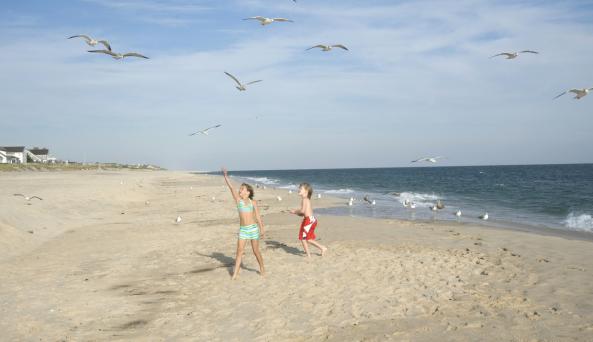Coopers Beach Southampton Ny 11968 Coopers Beach