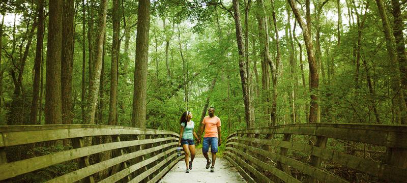 10 Free Things To Do In Virginia Beach This Summer First Landing State Park Hiking