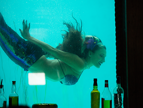 26 Unique Attractions, Nightlife & Dining in Fort Lauderdale