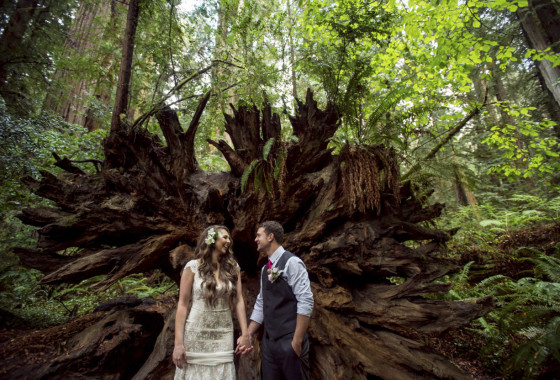 Getting Married In The Redwoods Grizzly Creek Redwoods State Park