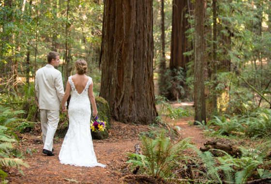 Getting Married In The Redwoods Weddings In Humboldt Redwoods State Park