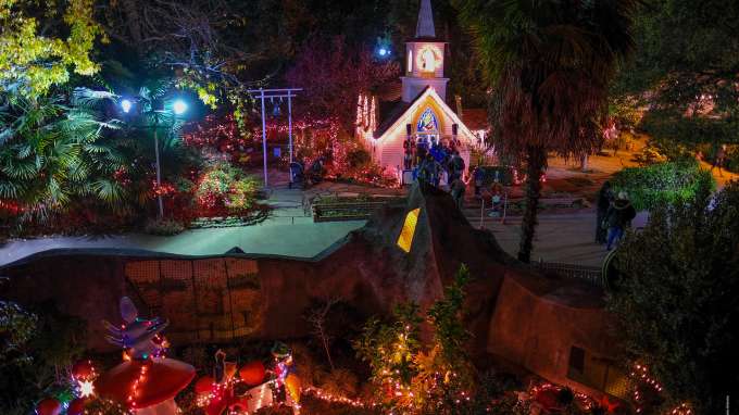 Fairy Winterland