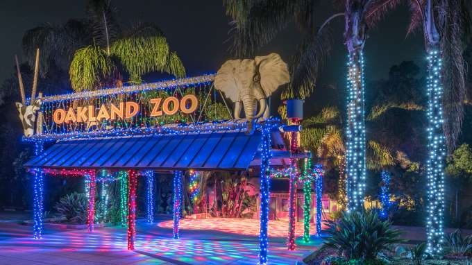 ZooLights: Oakland Zoo