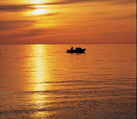Sunset Fishing