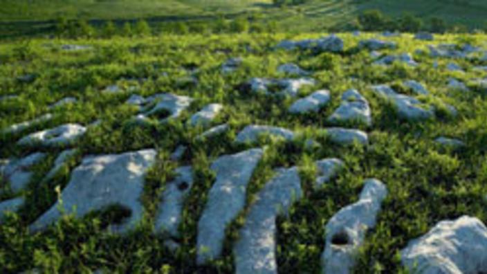 Tallgrass Prairie National Preserve Strong City Ks 66869