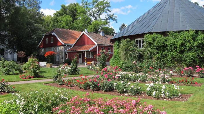 Naturmuseum Og Botanisk Hage Universitetet I Agder Family Activities Kristiansand S Norway