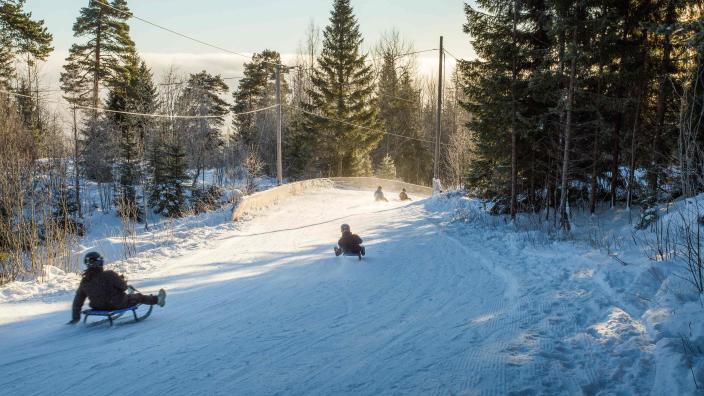 Toboggan run: Korketrekkeren Family Activities Oslo Norway