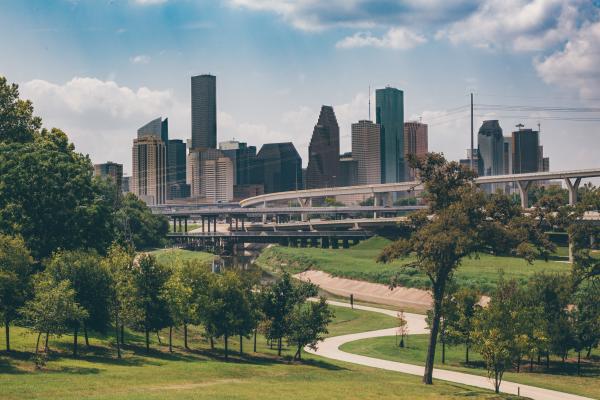 houston skyline bayou