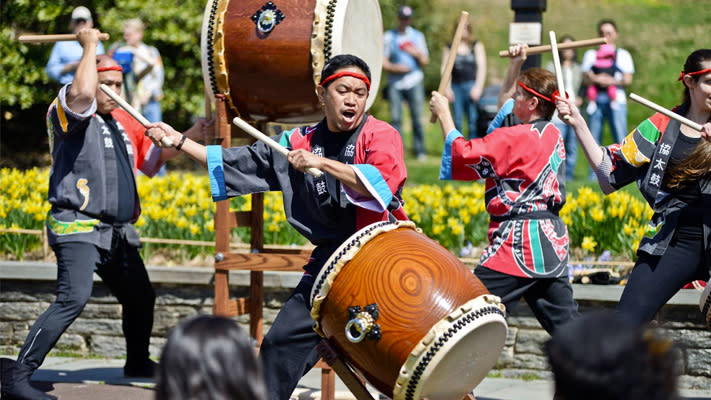 JAPANESE CHERRY BLOSSOM FESTIVAL