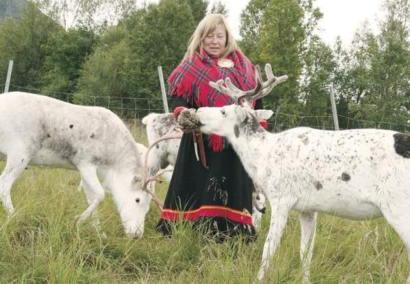 Sami Culture - Inga Sami Siida
