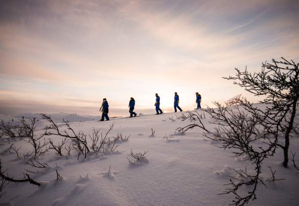 SnowhotelKirkenes - Snowshoe walking