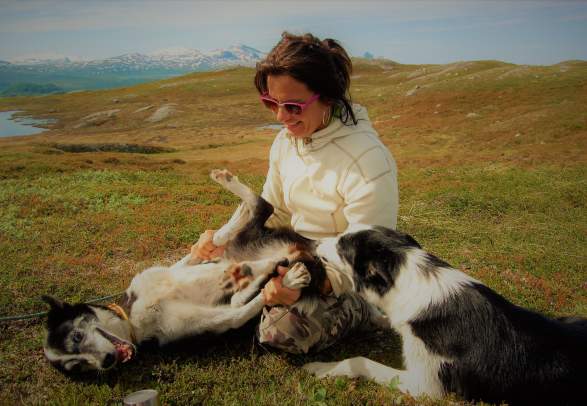 Snowhotel Kirkenes - Husky Mountain Hike