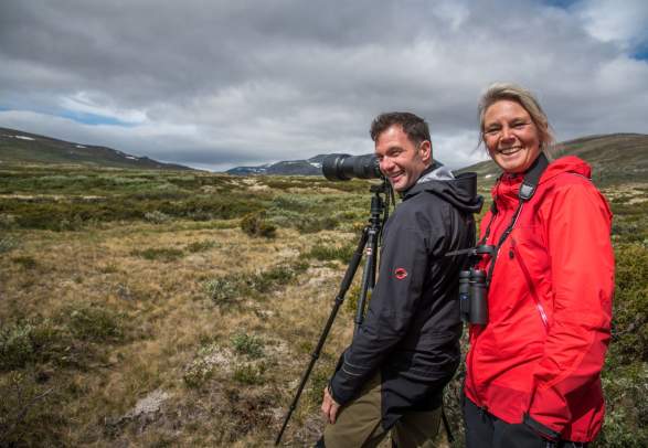 Musk Ox Safari Personal Tour