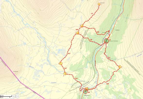 The musk-ox trail in Oppdal