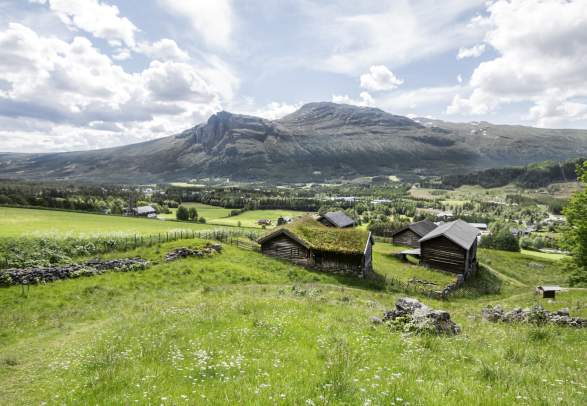 Hemsedal Bygdetun