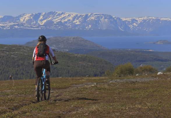 MTB - mechanical training