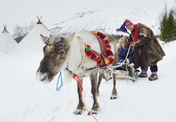 Northern Lights Reindeer Sledding - Lyngsfjord Adventure