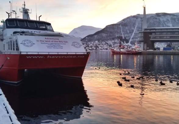 Tromsø Day Cruise – Sørøya Havfiskecruise