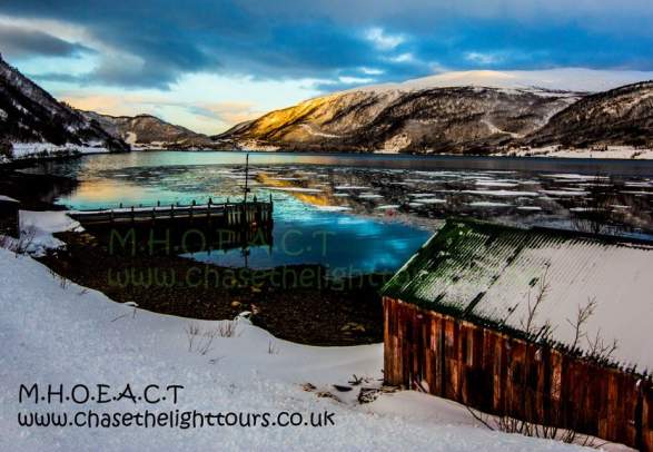 Scenic and photographic wildlife & fjord excursions - Marianne's Heaven on Earth Aurora Chaser Tours