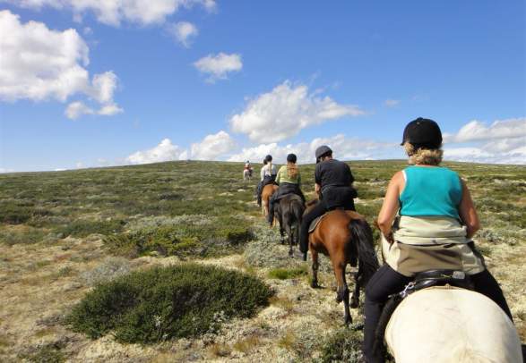 Enjoy the beauty of the Norwegian Mountains!