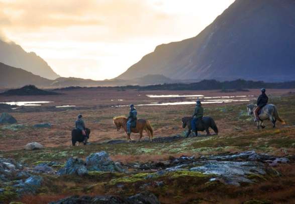Viking Tour - Horseback riding on Icelandic Horses in Lofoten