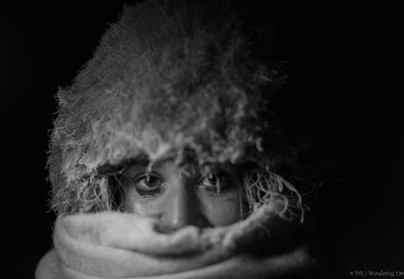 Night photography workshop - Wandering Owl