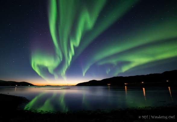 Aurora Hunt – All-inclusive - small-group Northern Lights chase - Wandering Owl