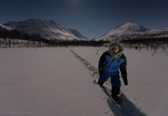 Star Walk – a night snowshoeing tour – Wandering Owl