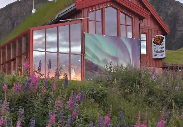 The gallery restaurant at Andøy Friluftssenter