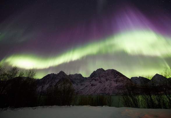 Whales in Skjervøy and Crystal Lavvo overnight in Lyngen