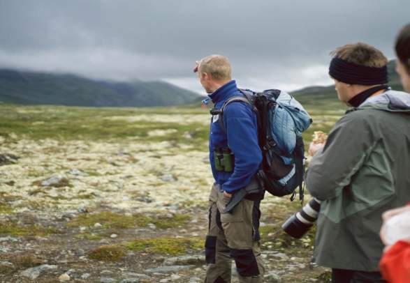 Musk OX safari at Dovrefjell