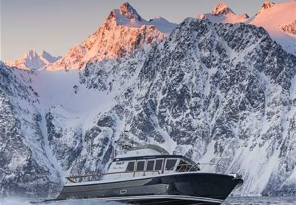 Whalesafari - Lyngen Experience