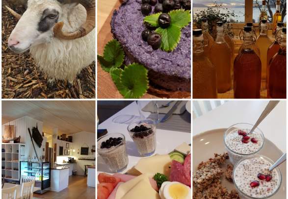 Yggdrasiltunet farmhotel