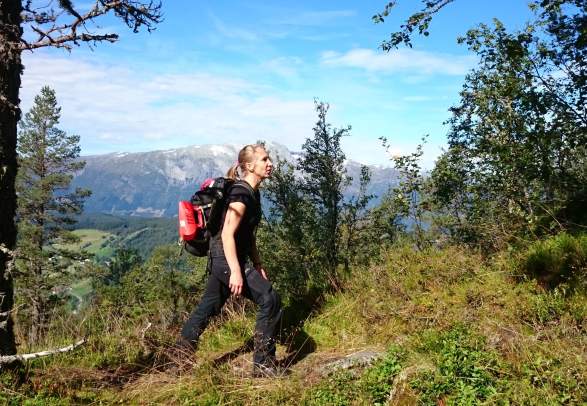 Guided hike to the Viking trail Sverrestigen - Wild Voss