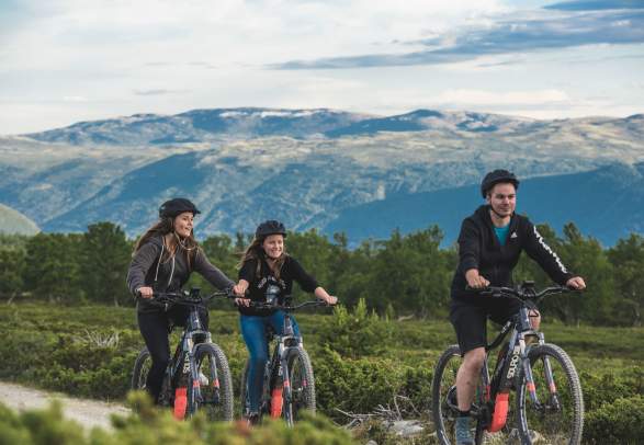 Bike rental at Dombås | Dovrefjell Adventures