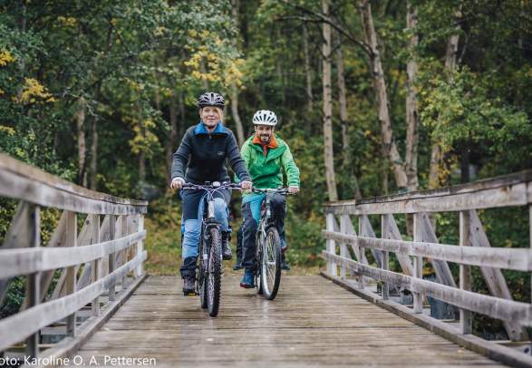 Rent bikes - Saltdal turistsenter