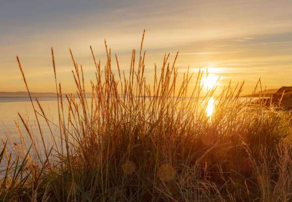 Explore our arctic riviera in Varanger - have fun under the sun!