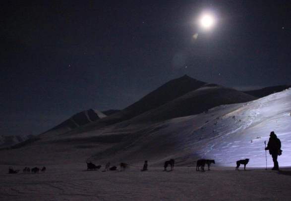 Insight into an Arctic sled dog's life: Polarnight adventure with dogsledding, lunch and slideshow - Arctic Husky Travellers