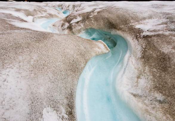 Fossil hunting - Spitsbergen Outdoor Activities