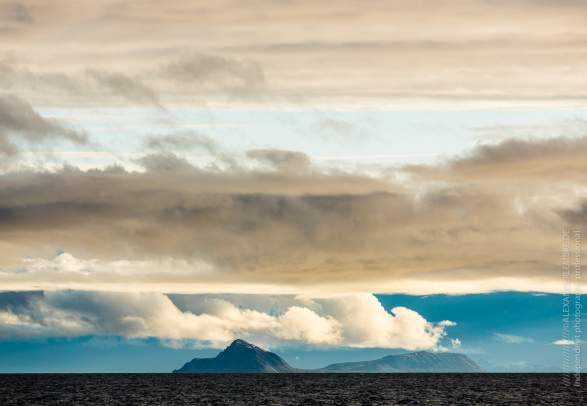 Bird Spotting Excursion, followed by Arctic BBQ - Spitzbergen Adventures