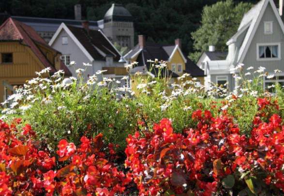 Rjukan - Town Centre Walk