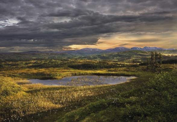Blåfjella-Skjækerfjella/ Låarte-Skæhkere National Park