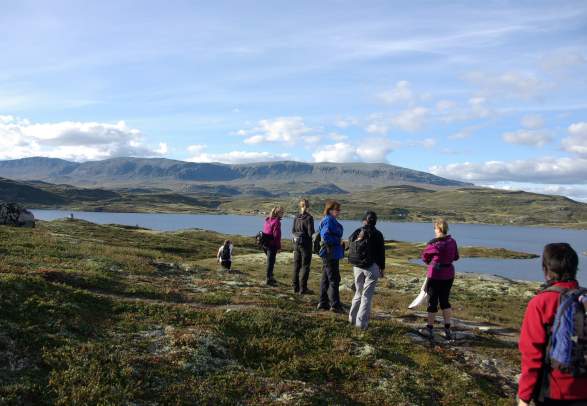 Around lake Bergsjøen Ål in Hallingdal