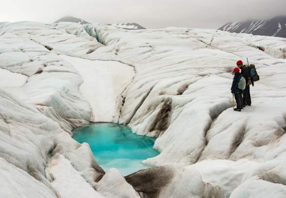 Svalbard Wildlife Wildlife Camp 3 dager
